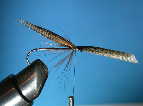 Mallard and Silver sea trout fly - mallard wing