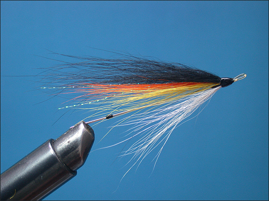 Tying the Needle Fly - Step 3