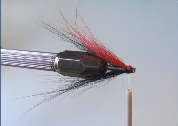 Tying the Needle Tube Shrimp 5