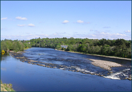 Salmon Fishing River ness