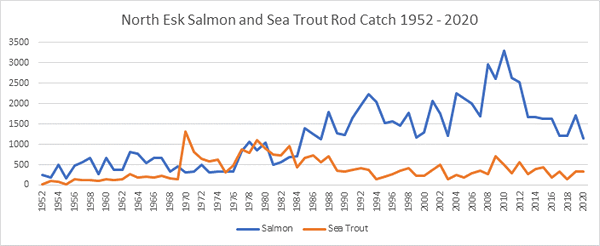River North Esk Salmon Catches