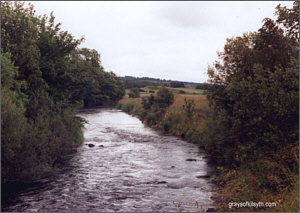 River Allan Salmon Fishing -The Back Stream