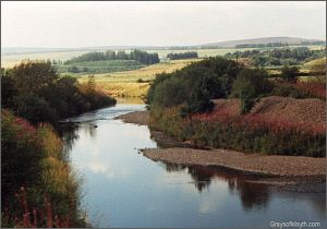 River Allan Salmon Fishing - Greenloaning
