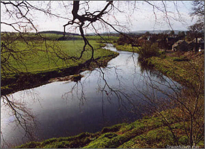 River Allan Salmon Fishing at Kinbuck