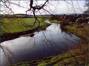 Salmon Fishing River Allan