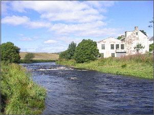 River Allan Salmon Fishing