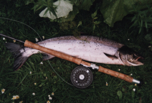 River Allan Salmon