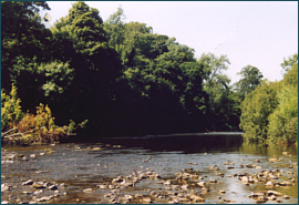 River Annan at Hoddom Castle