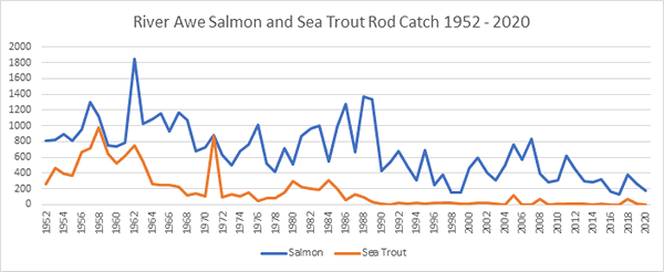 River Awe Salmon Catches