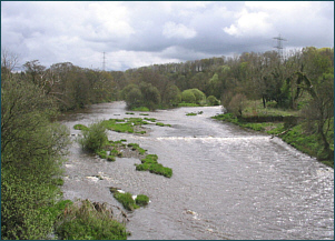 River Ayr