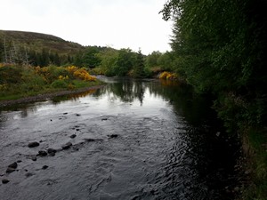 River Borgie in June