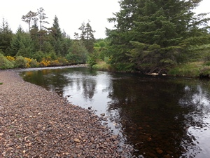 River Borgie Pool