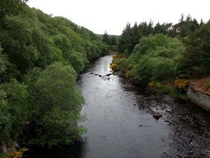 River Borgie Salmon Fishing