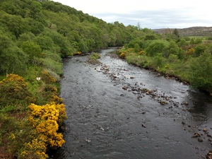 River Borgie