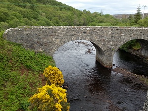 Borgie Bridge