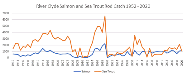 River Clyde Salmon Catches