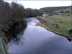 River Cree Salmon Fishing