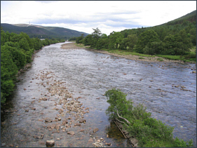 River Dee Salmon Fishing at Ballater