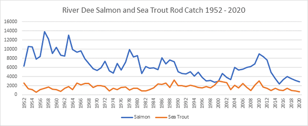River Dee Salmon Catches