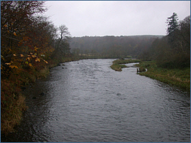 River Don fishing  at Backhill