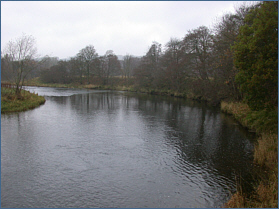 River Don salmon fishing, Backhill