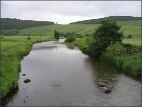 River Don trout fishing at Kildrummy