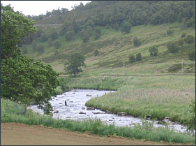 River Don Trout Fishing