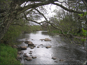 River Dulnain below Dulnain Bridge