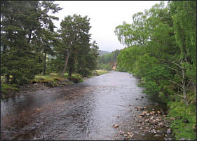 River Dulnain,Broomhill