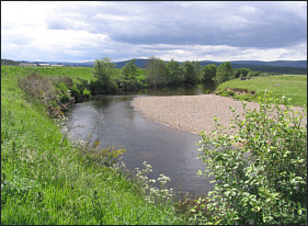 River Dulnain salmon fishing