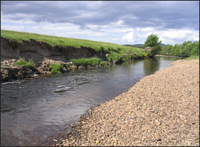 River Dulnain - middle pool