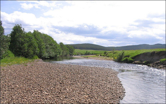 River Dulnain - salmon and sea trout fishing