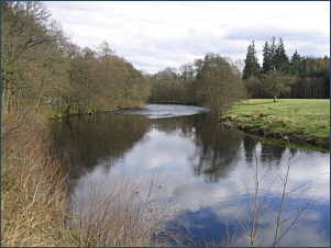 River Earn Salmon and Sea Trout Fishing