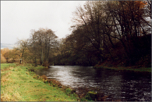 The Dam, River Endrick 