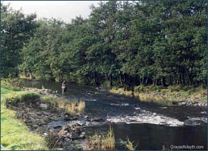 River Endrick Salmon Fishing