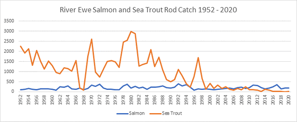 River Ewe salmon catch