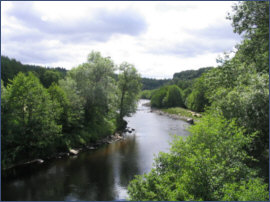 River Findhorn Salmon Fishing