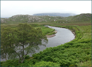 River Laxford Salmon Fishing