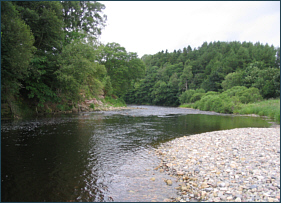 Lower River Liddle Fishing