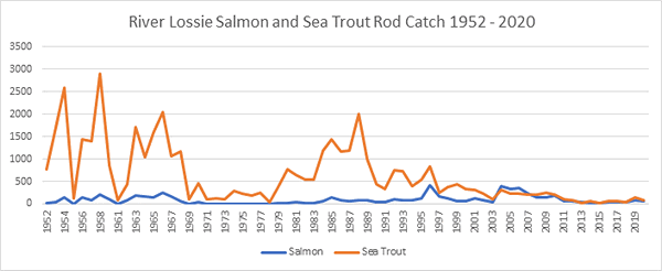 River Lossie Salmon Catches