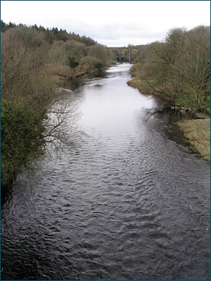 River Luce Salmon and Sea Trout Fishing