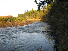 River Nairn below Cawdor
