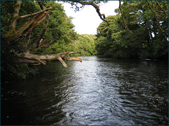 Nairn Angling Association water at Dalcross