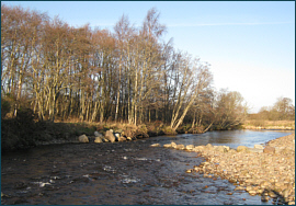 River Nairn Salmon Fishing Association