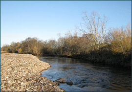 River Nairn Salmon Angling