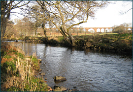 River Nairn Salmon Fishing