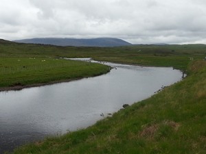 River Naver salmon fishing