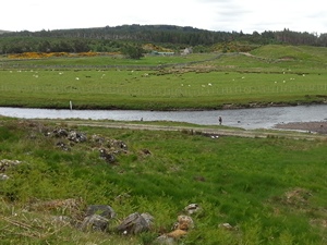 River Naver salmon fishing