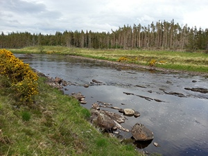 River Naver fishing