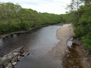 River Naver salmon fishing